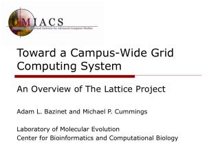 Toward a Campus-Wide Grid Computing System