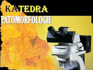 PATOMORFOLOGII
