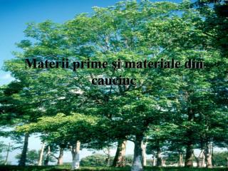 Materii prime şi materiale din cauciuc