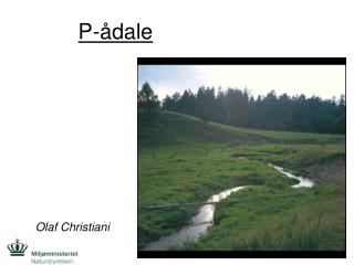 P-ådale