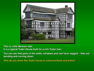 All these Tudor houses have used wattle and daub and a timber frame .