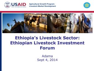 Ethiopia’s Livestock Sector: Ethiopian Livestock Investment Forum Adama Sept 4, 2014