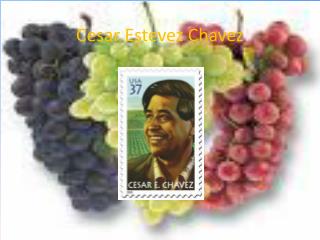 Cesar Estevez Chavez