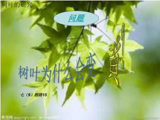 树叶为什么会变