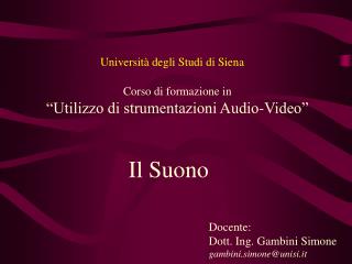 Università degli Studi di Siena