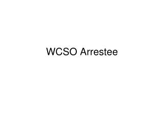 WCSO Arrestee