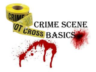 Crime Scene Basics