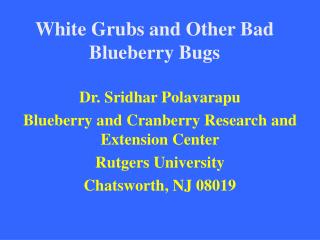White Grubs and Other Bad Blueberry Bugs