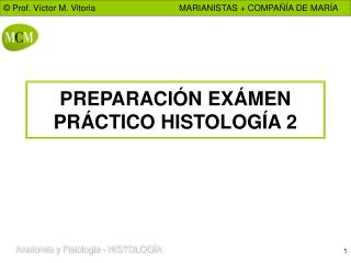 PREPARACIÓN EXÁMEN PRÁCTICO HISTOLOGÍA 2