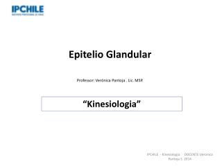 Epitelio Glandular Professor: Verónica Pantoja . Lic. MSP.