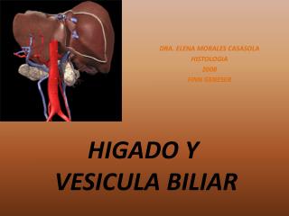 HIGADO Y VESICULA BILIAR