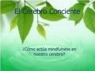 El Cerebro Conciente