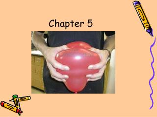 Chapter 5