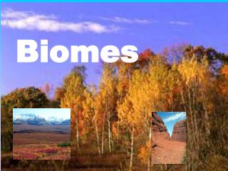 Biomes