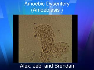 Amoebic Dysentery (Amoebiasis ) Alex, Jeb, and Brendan