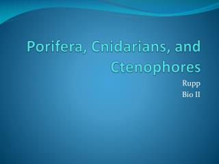 Porifera, Cnidarians, and Ctenophores