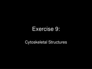 Exercise 9: