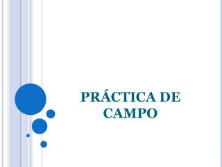 PRÁCTICA DE CAMPO