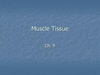 Muscle Tissue