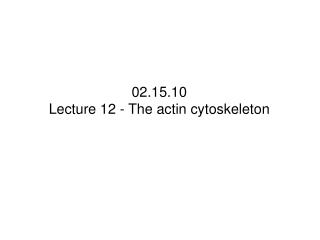 02.15.10 Lecture 12 - The actin cytoskeleton