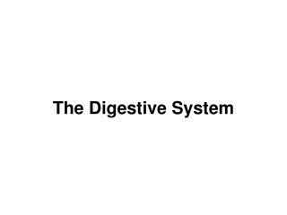 The Digestive System