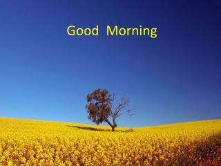 Good Morning