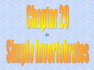 Chapter 29 Simple Invertebrates