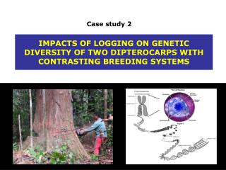IMPACTS OF LOGGING ON GENETIC DIVERSITY OF TWO DIPTEROCARPS WITH CONTRASTING BREEDING SYSTEMS