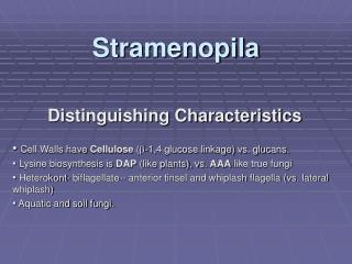 Stramenopila