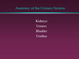 Anatomy of the Urinary System