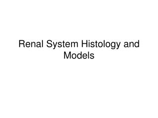 Renal System Histology and Models