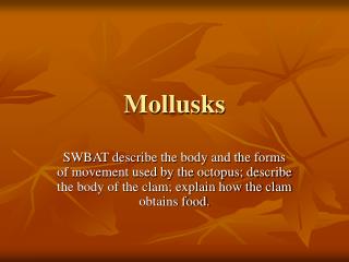 Mollusks