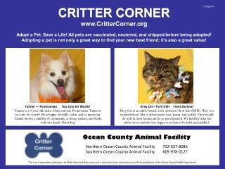 CRITTER CORNER CritterCorner