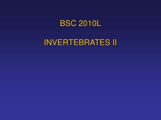 BSC 2010L INVERTEBRATES II