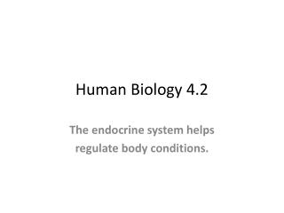 Human Biology 4.2