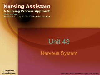 Unit 43