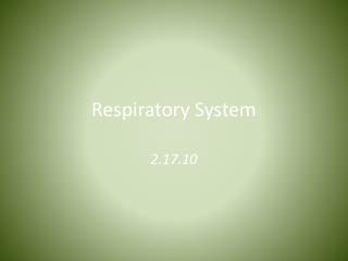 Respiratory System