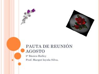 PAUTA DE REUNIÓN AGOSTO