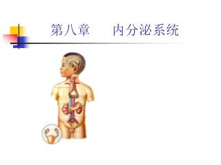 第八章 内分泌系统