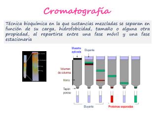 Cromatografía