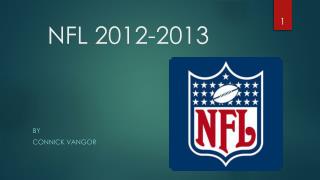 NFL 2012-2013