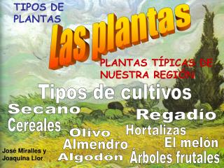 Las plantas