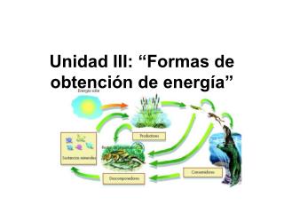 Unidad III: “Formas de obtención de energía”