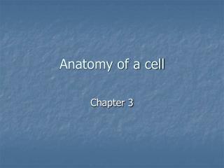 Anatomy of a cell