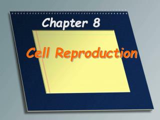 Chapter 8