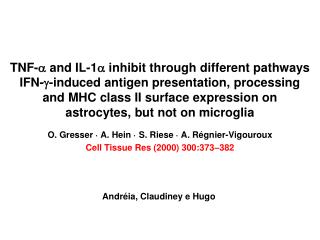 O. Gresser · A. Hein · S. Riese · A. Régnier-Vigouroux Cell Tissue Res (2000) 300:373–382