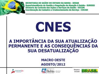 CNES A IMPORTÂNCIA DA SUA ATUALIZAÇÃO PERMANENTE E AS CONSEQUÊNCIAS DA SUA DESATUALIZAÇÃO