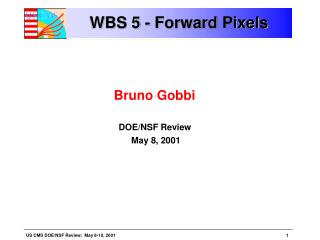 WBS 5 - Forward Pixels