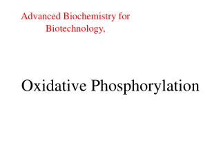Oxidative Phosphorylation