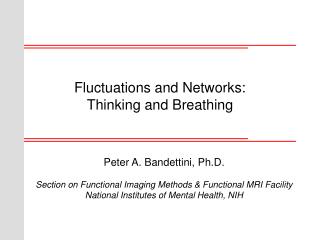 Fluctuations and Networks: Thinking and Breathing